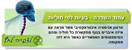 עמוד השדרה - בעיות לפי חוליות וטיפול בכאב כללי