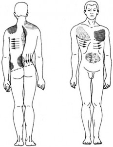 massazh-spiny-pri-skolioze