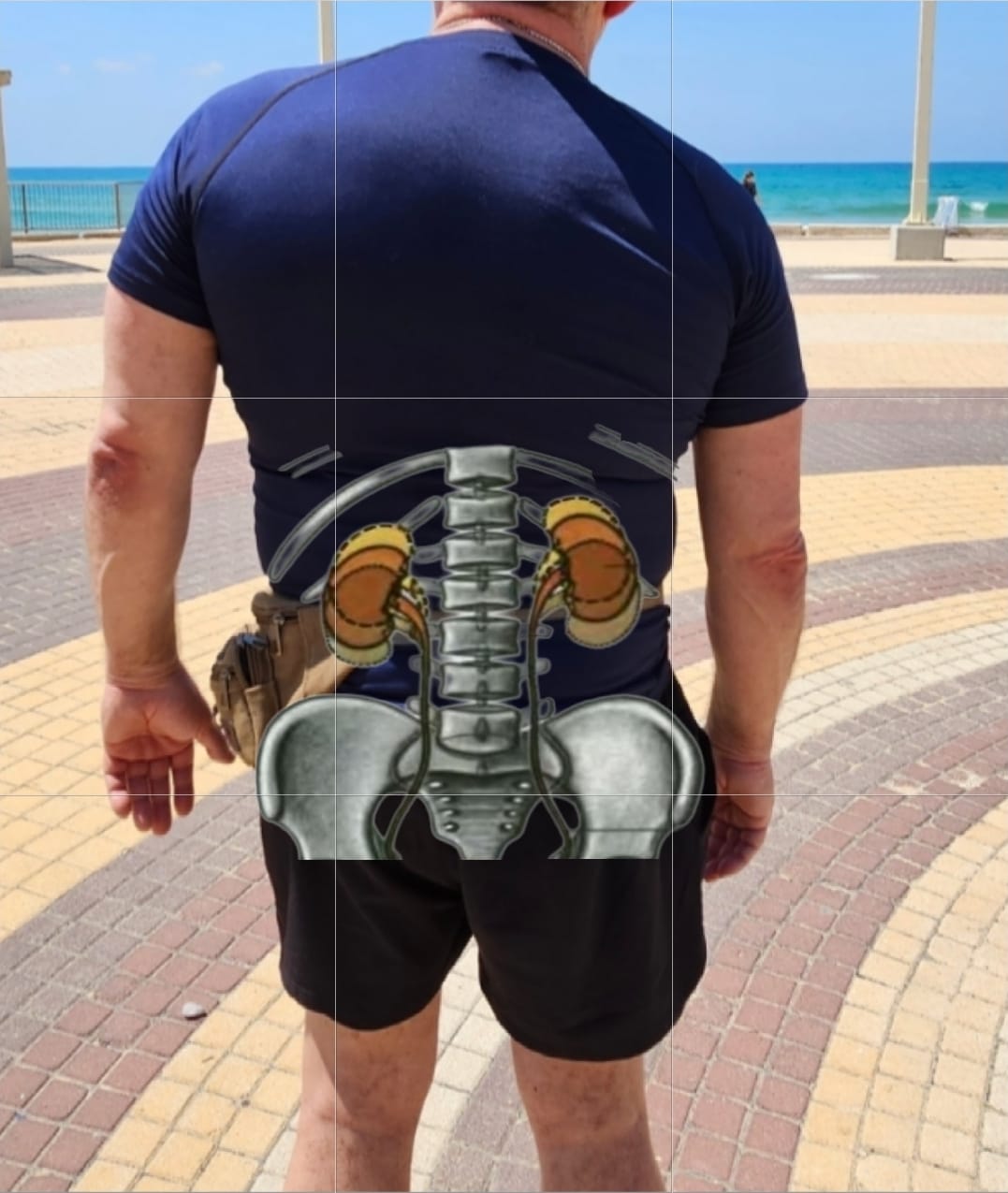 הכליות הן מהאיברים החשובים ביותר ברפואה הסינית.