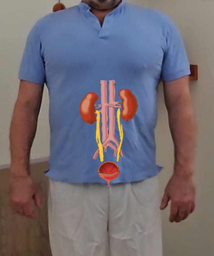 שלפוחית השתן- זה איבר שרירי